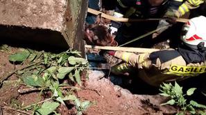 Reševanje konja iz greznice