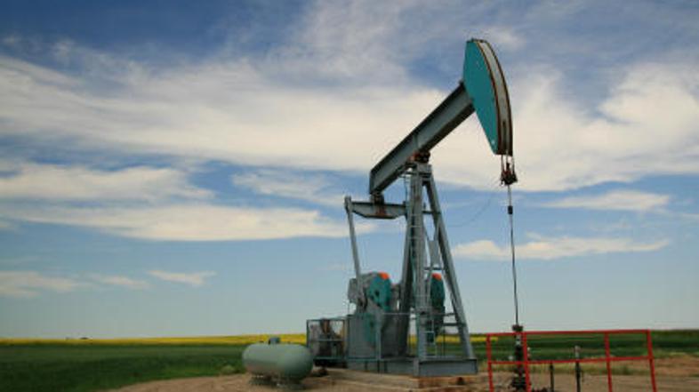 Z ustavitvijo izvoza želijo pomagati domačemu trgu. (Foto: Istockphoto)