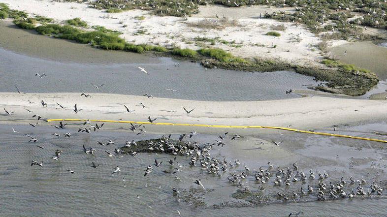 Posledice ne bodo lokalizirane. (Foto: Reuters)