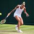 polona hercog wimbledon 2017