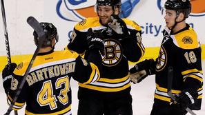 boston bruins nhl