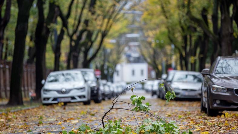 Vihar Herwart pustošil po Nemčiji, Češi in Poljski