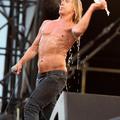 Legenda rocka Iggy Pop bo konec septembra ogrel slovenske oboževalce.