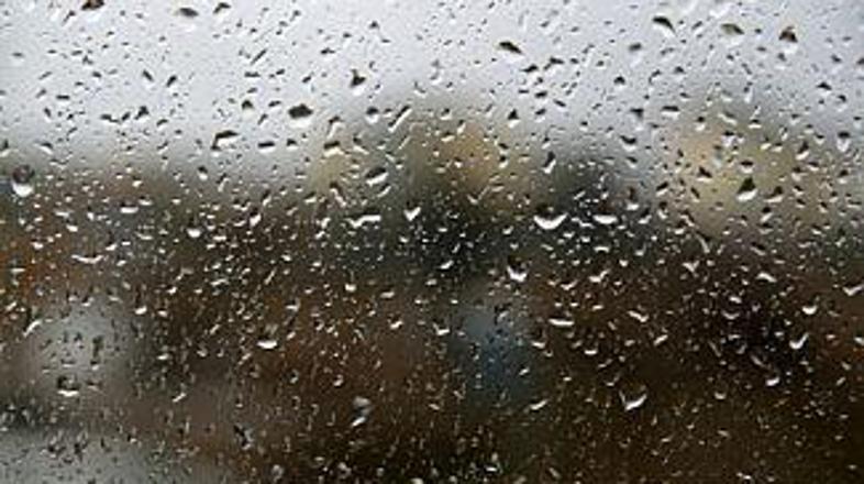 Družina je veljala za mirno.