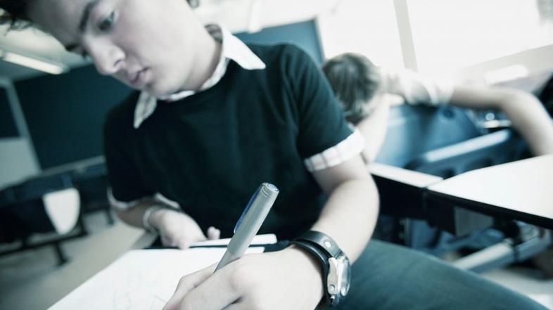 levičar, levičarji