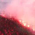 PAOK - Olympiakos