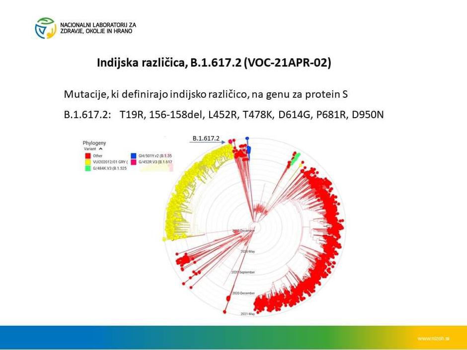 podatki epidemija različice | Avtor: NLZOH