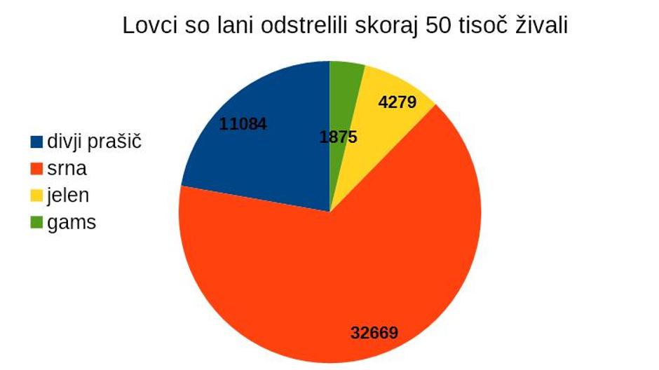  | Avtor: zurnal24.si