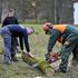 Žurnalova delovna brigada čiščenje gozda Snežnik