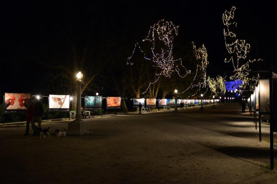 Praznična Ljubljana