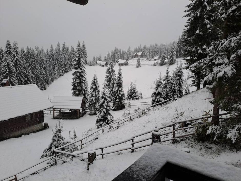 Pokljuka | Avtor: Bralka