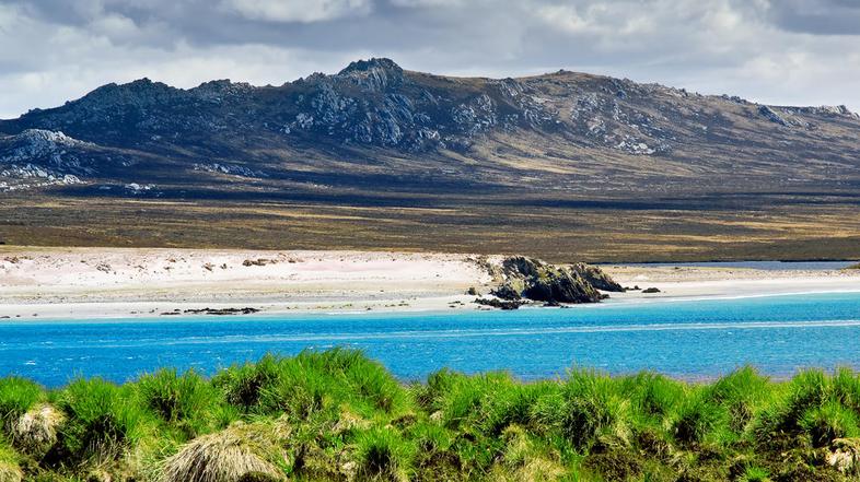 Falklandski otoki