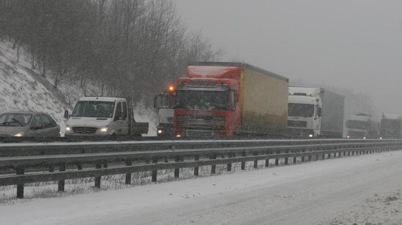 (Foto: Dare Čekeliš)