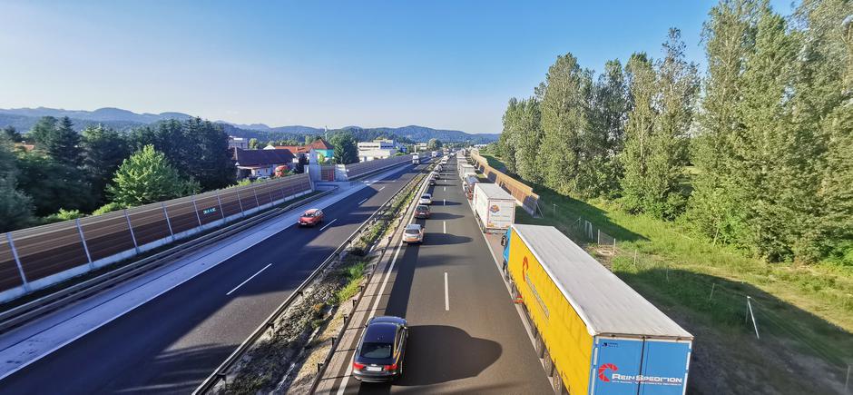 Zavod reševalni pas | Avtor: Zavod reševalni pas