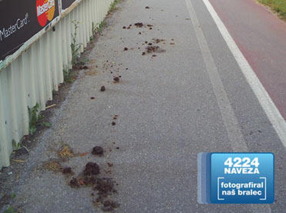 Konjske fige so zdaj že odstranili, so nam zagotovili v Javnem holdingu Ljubljan