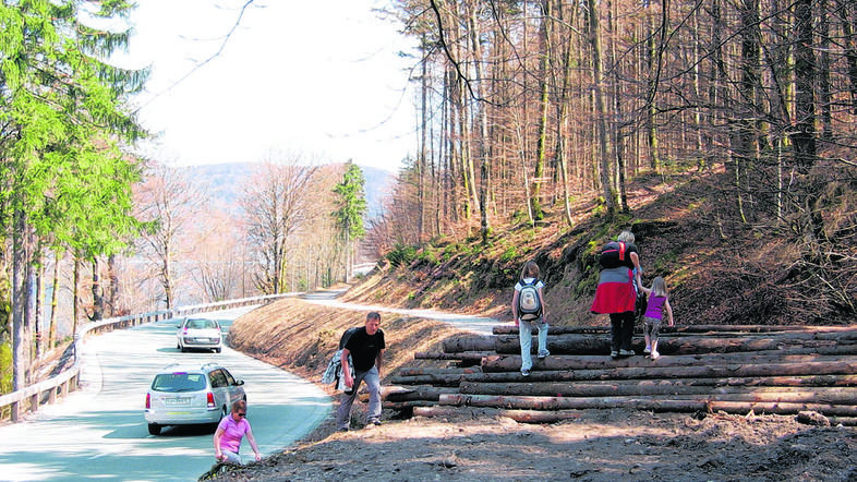 Sprehajalna pot okrog Bohinjskega jezera je zdaj spet prehodna in brez ovir. (Fo