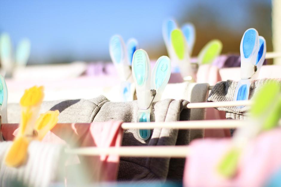 Perilo | Avtor: Pixabay