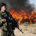 Poljski vojaki se branijo, da so se le zabavali. (Foto: Reuters)