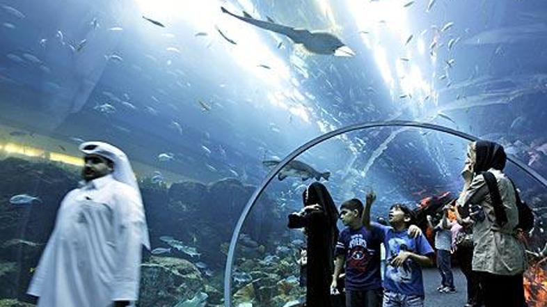 Akvarij je del ogromnega trgovskega središča Dubai Mall. (Foto: EPA)