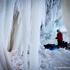 Will Gadd, Helmcken Falls