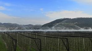 Oroševanje, Evrosadov sadovnjak