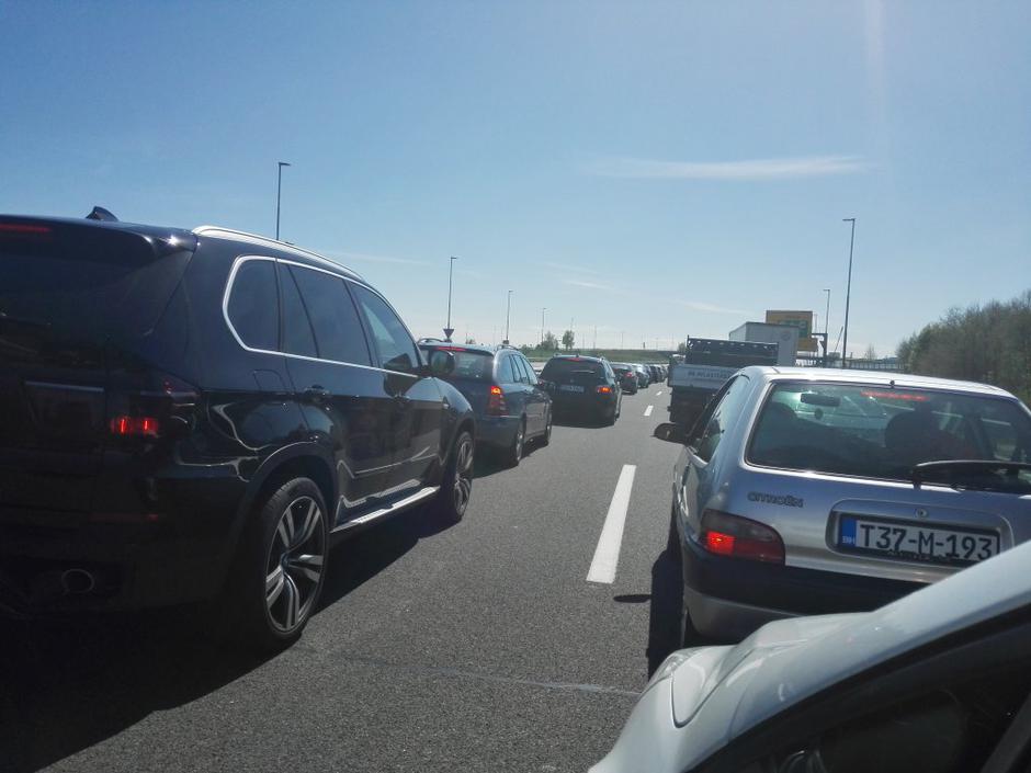 Obrežje | Avtor: Barbara Barbič 