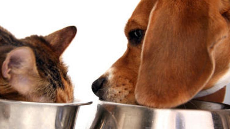 Ne bosta več lačna ...