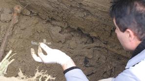 (Foto: Jerca Božič Kranjec)