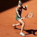 polona hercog