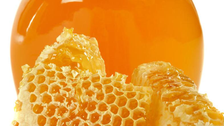 Propolis dobijo iz sten satja. (Foto: Shutterstock)