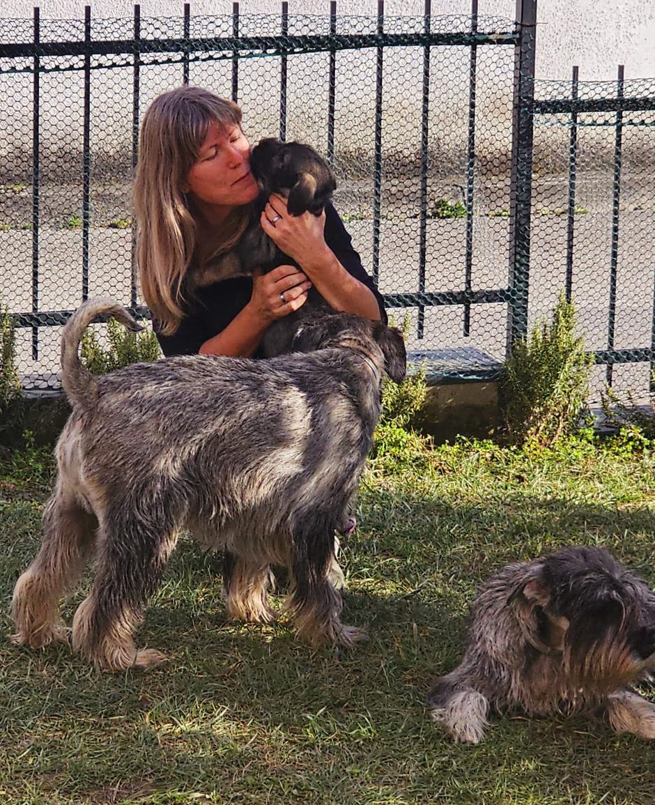 Srednji Šnavcer - Vidic | Avtor: Andreja Cilenšek