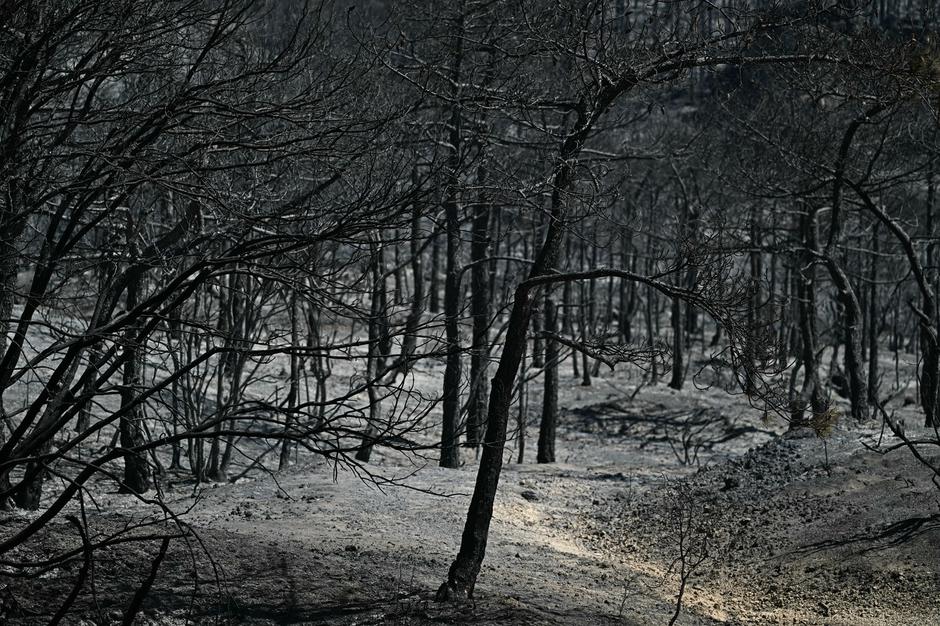Požari v Franciji | Avtor: Profimedia