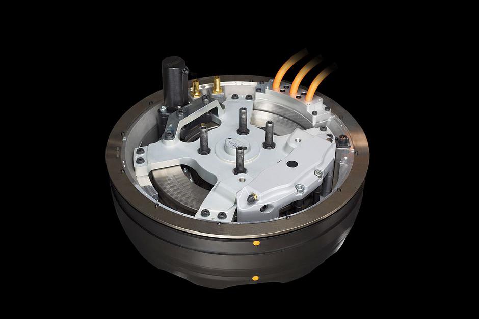 Elaphe | Avtor: Elaphe