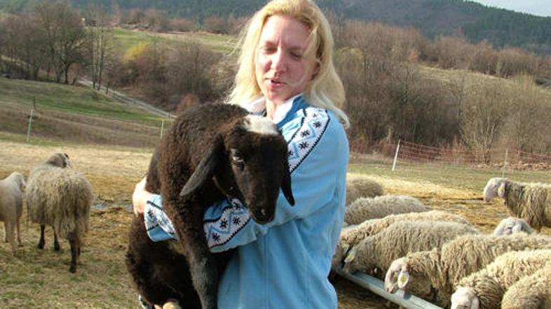 “Kar se dogaja zdaj, je že na meji absurda. Kot da bi redili ovce zato, da bodo 