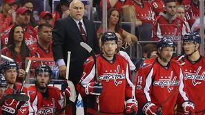 washington capitals