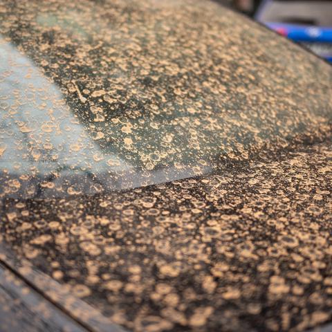 puščavski pesek, saharski pesek, avtomobil