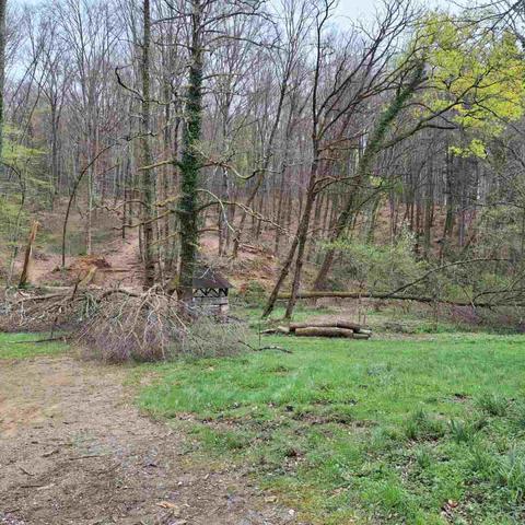 Zavod za gozdove: Panovec