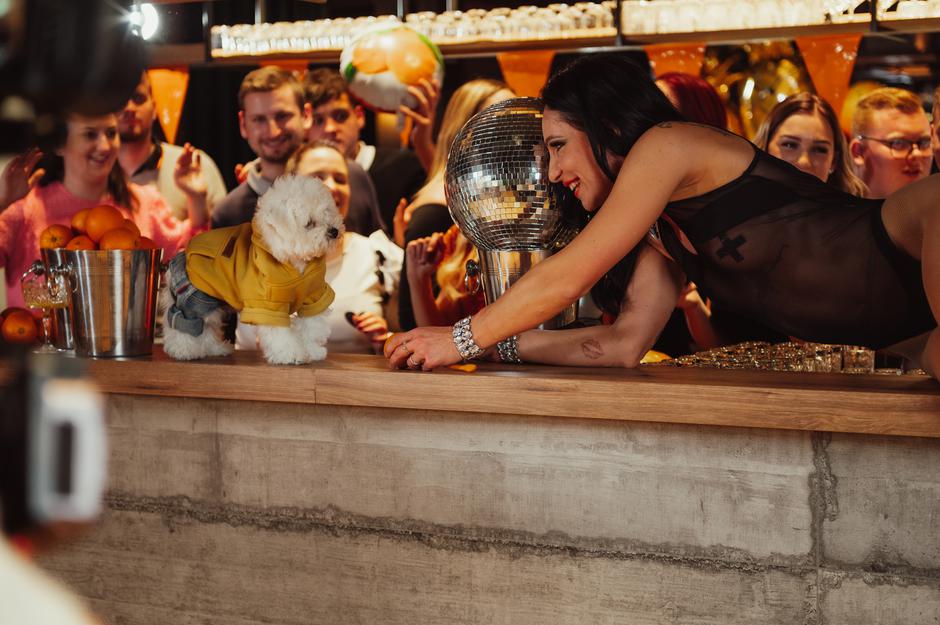 PES, TEMNOLASKA, DEJAN DOGAJA | Avtor: Globus Videos