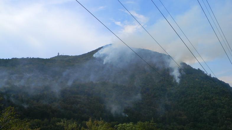 Požar na Sveti gori