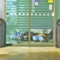 V NLB konkretnega primera ne poznajo, sicer pa za varnost skrbijo varnostniki. (