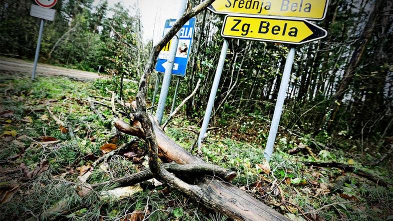 Posledice neurja na Gorenjskem