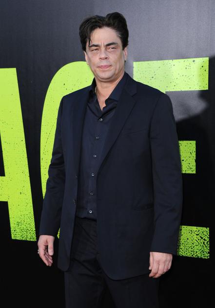 Benicio Del Toro