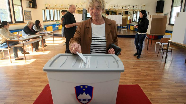 5. junija bomo na treh referendumih odločali o pokojninski reformi, delu na črno