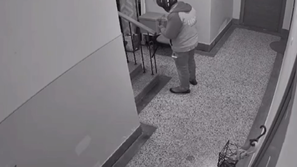 Dostavljalec Wolta zasačen pri kraji