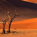 Sossusvlei, Namibija