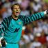 Edwin van der Sar 