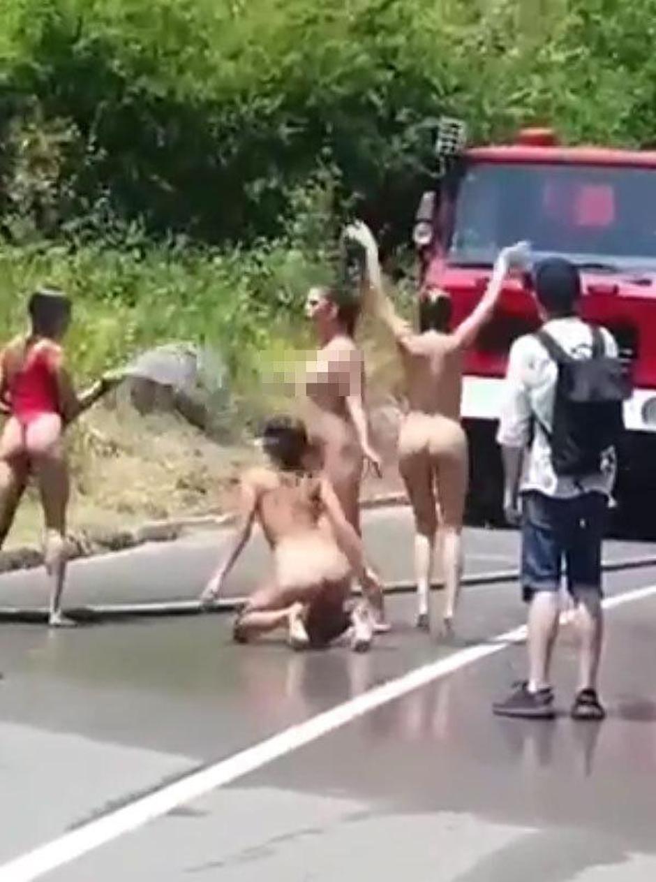  | Avtor: Reševalni pas/Twitter