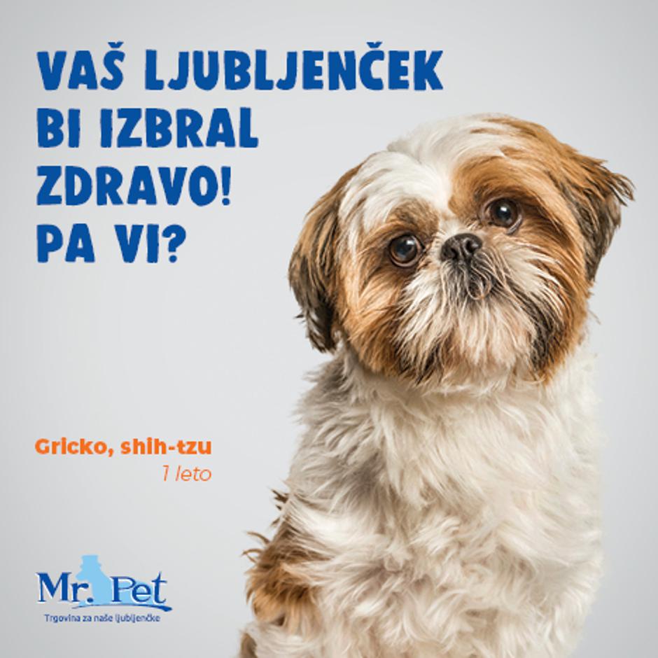 Mr. Pet | Avtor: Mr. Pet