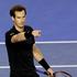 OP Avstralije - polfinale) Andy Murray