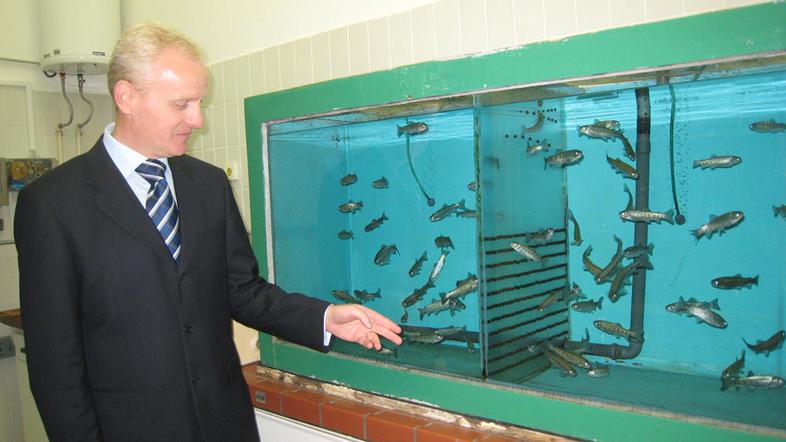 “Če je z vodo kaj narobe, postrvi šarenke poginejo, vključi se alarm in prekine 